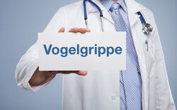 Erste Fälle von Vogelgrippe am Lech