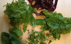 Heimisches Superfood aus dem Garten