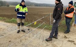 Afrikanische Schweinepest: Veterinäramter bereiten sich vor