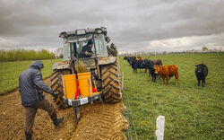 Mehr Schatten, mehr Vielfalt, mehr Zukunft