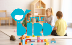 Mehr Transparenz und weniger Bürokratie: