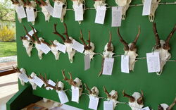 Öffentliche Hegeschau 2026