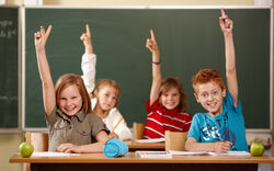 Schulweg von wildem Müll gesäubert