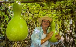 Kalebasse-Wettbewerb im Landkreis startet