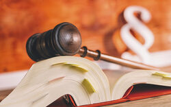 Ehrenamtliche Verwaltungsrichter